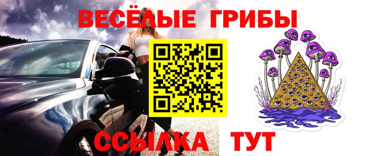 Галлюциногенные грибы GOLDEN TEACHER Троицк