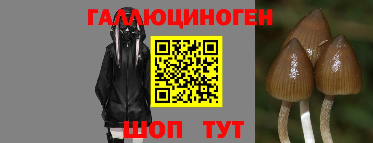 Троицк  Галлюциногенные грибы мухоморы  как найти наркотики  Вход с VPN 